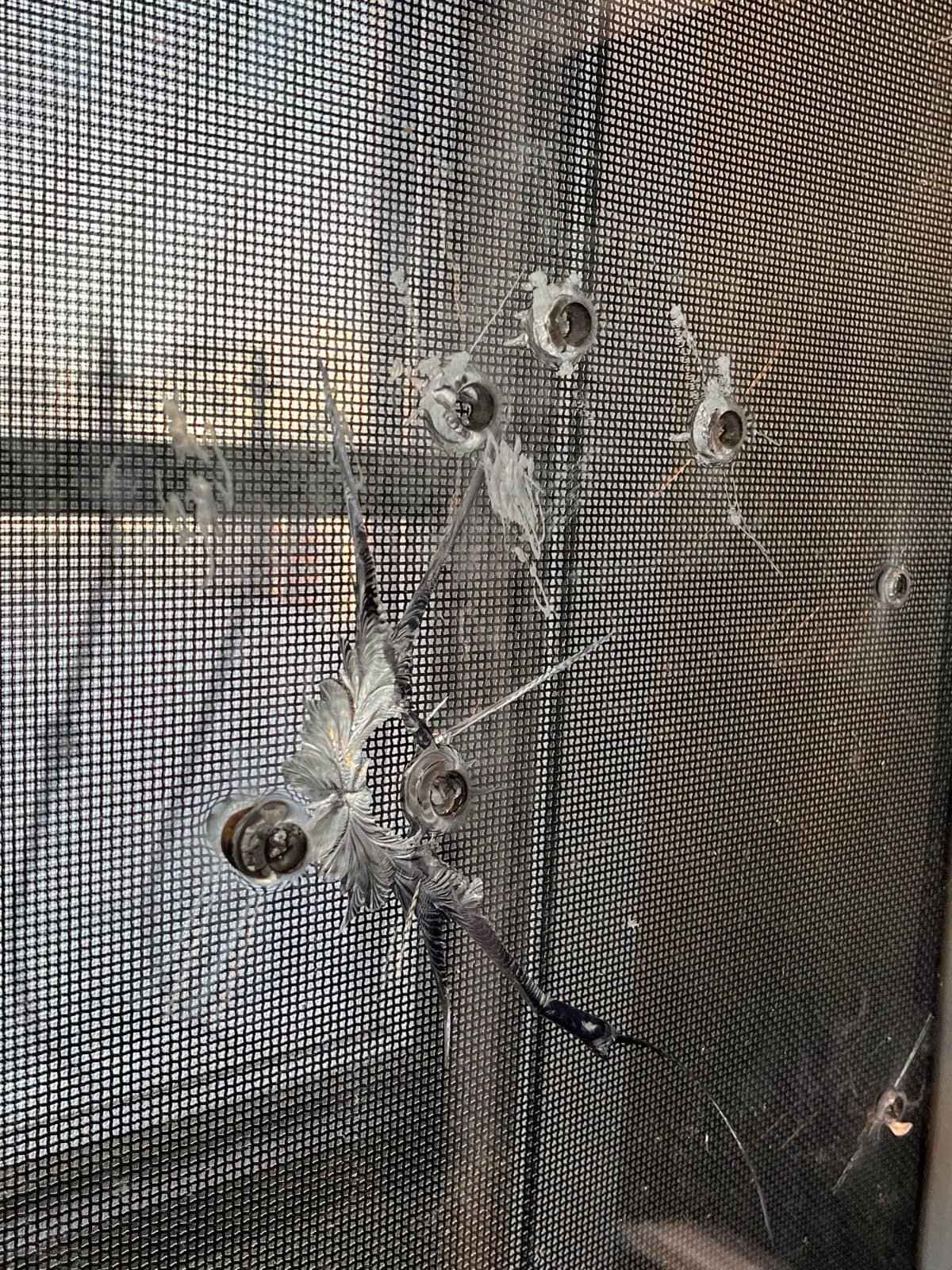 Rock Glass security glazing holding together after gunfire